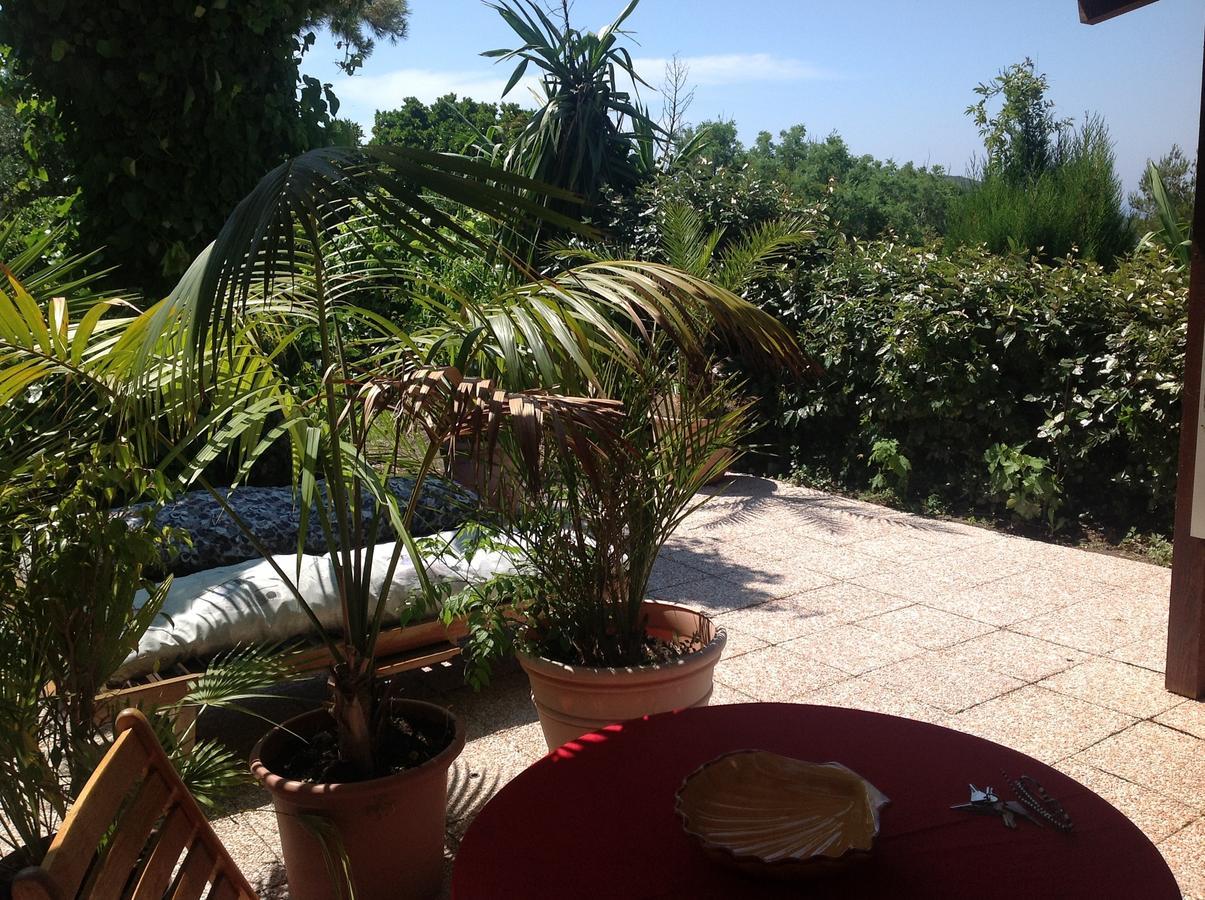 La Coccinelle Aparthotel Île du Levant Екстериор снимка