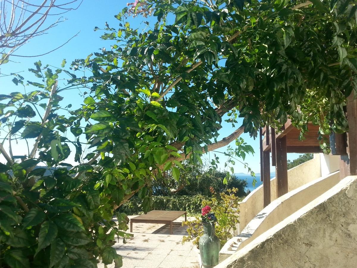 La Coccinelle Aparthotel Île du Levant Екстериор снимка